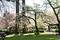 Spring on campus