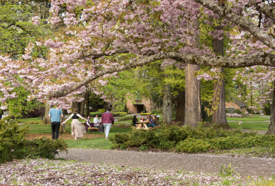 Undergraduate campus