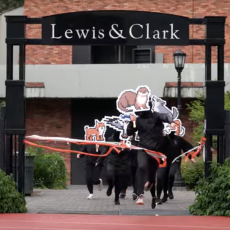 Mascot at the finish line