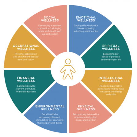 Wellness Wheel