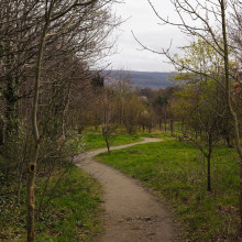 The quiet walkway of Airfield Estate