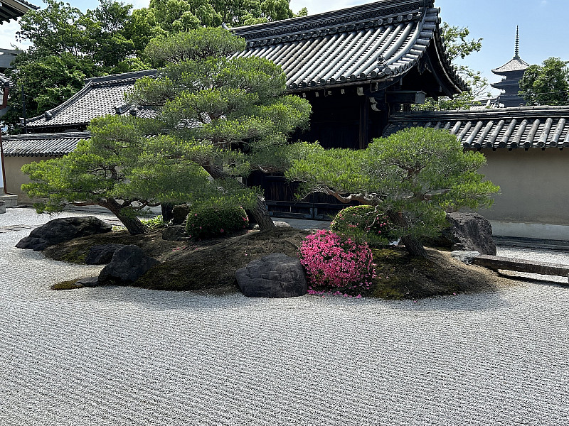 Japan/Korea program images