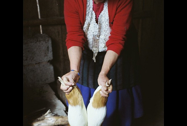 Mayana Bonapart, Ecuador, Las Compañeras del Campo (The Companions of the Countryside)