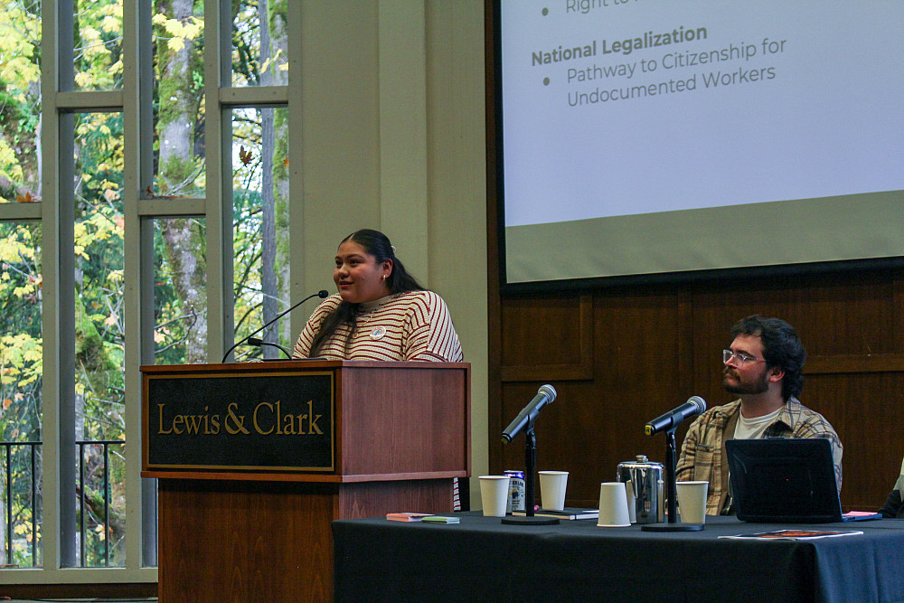 Person standing at podium in Council Chamber