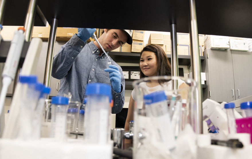 Two students work together in one of our science labs.