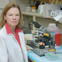 Susan B. Olson, Center for Community and Global Health Advisory Board