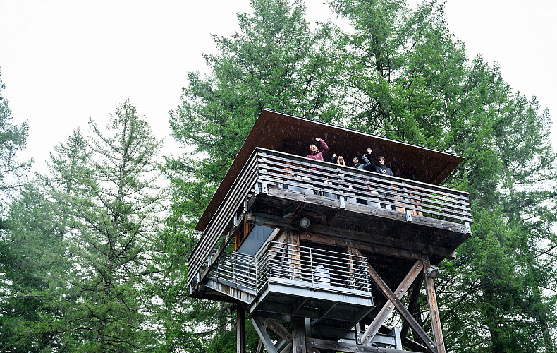 Our students immerse themselves in the beautiful Pacific Northwest--stop by the Tillamook Forest Center to get this bird's-eye view!