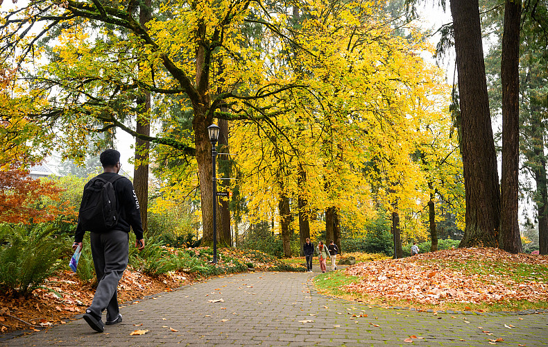 The walk to class is stunning on our scenic campus.