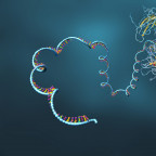 Colorful strands of DNA entwined together