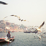 Overseas photo contest winner