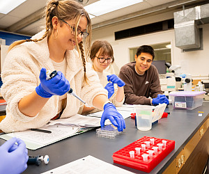 Students using science equipment and wearing blue gloves.