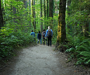 Assistant Professor Tracy Burkhard and her students conducted their research in nearby Tryon Creek State Natural Area.