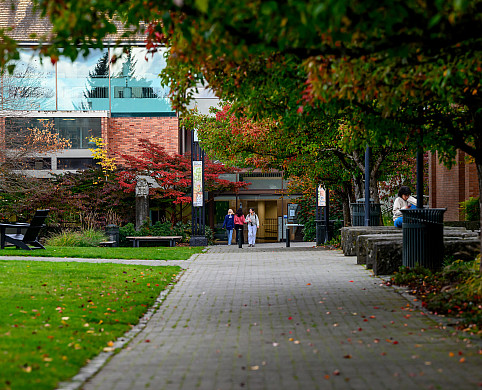 Each of the new minors helps prepare students for a wide range of paths after graduation.