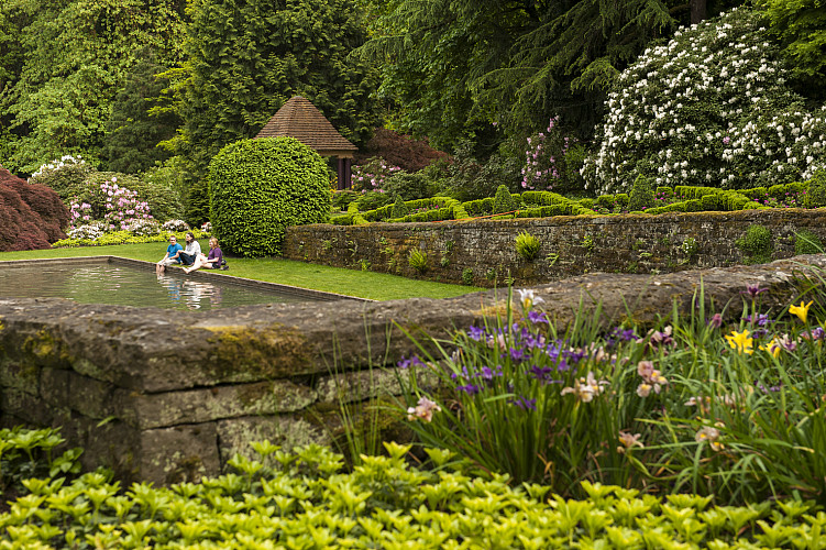 Students sitting by the reflecting pool surrounded by lots of greenery.