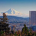 Mt. Hood
