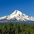 Mt. Hood