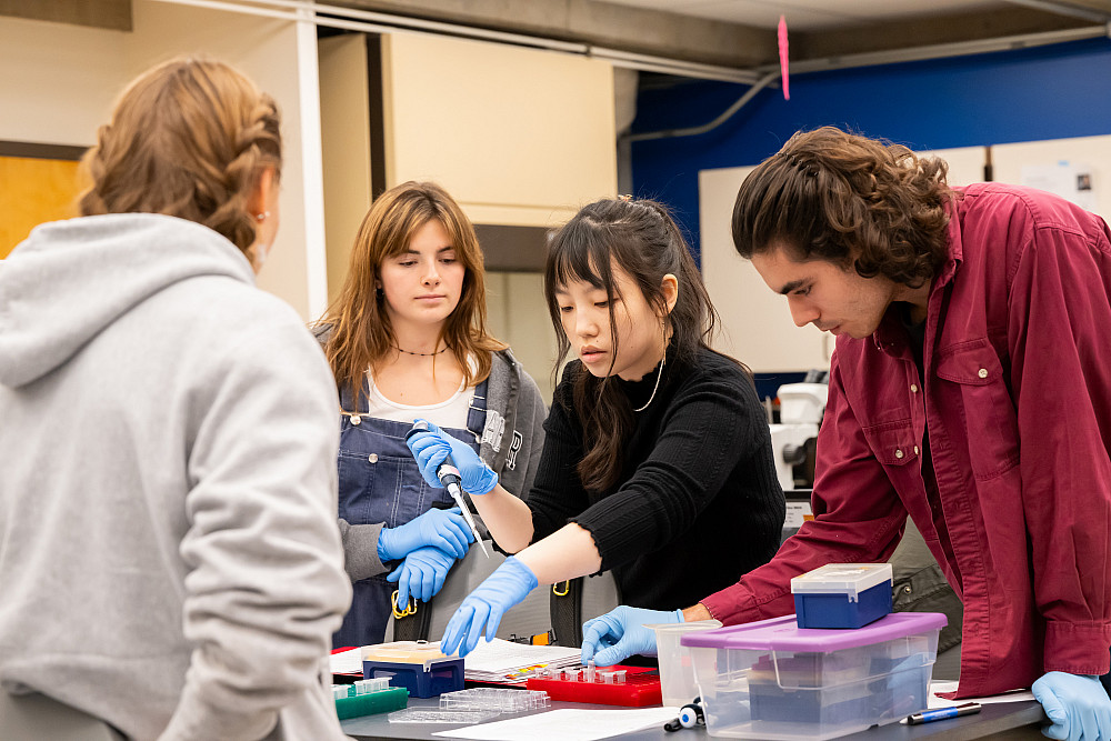 Students working at a lab table.