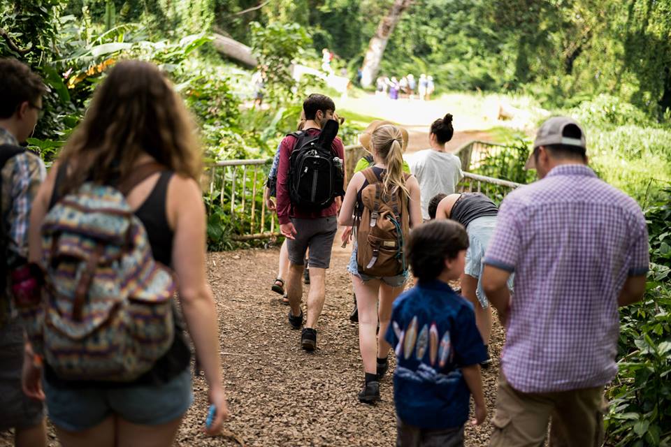Manoa Falls hike