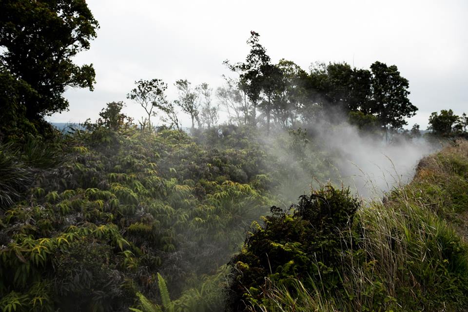 Kilauea steam vent